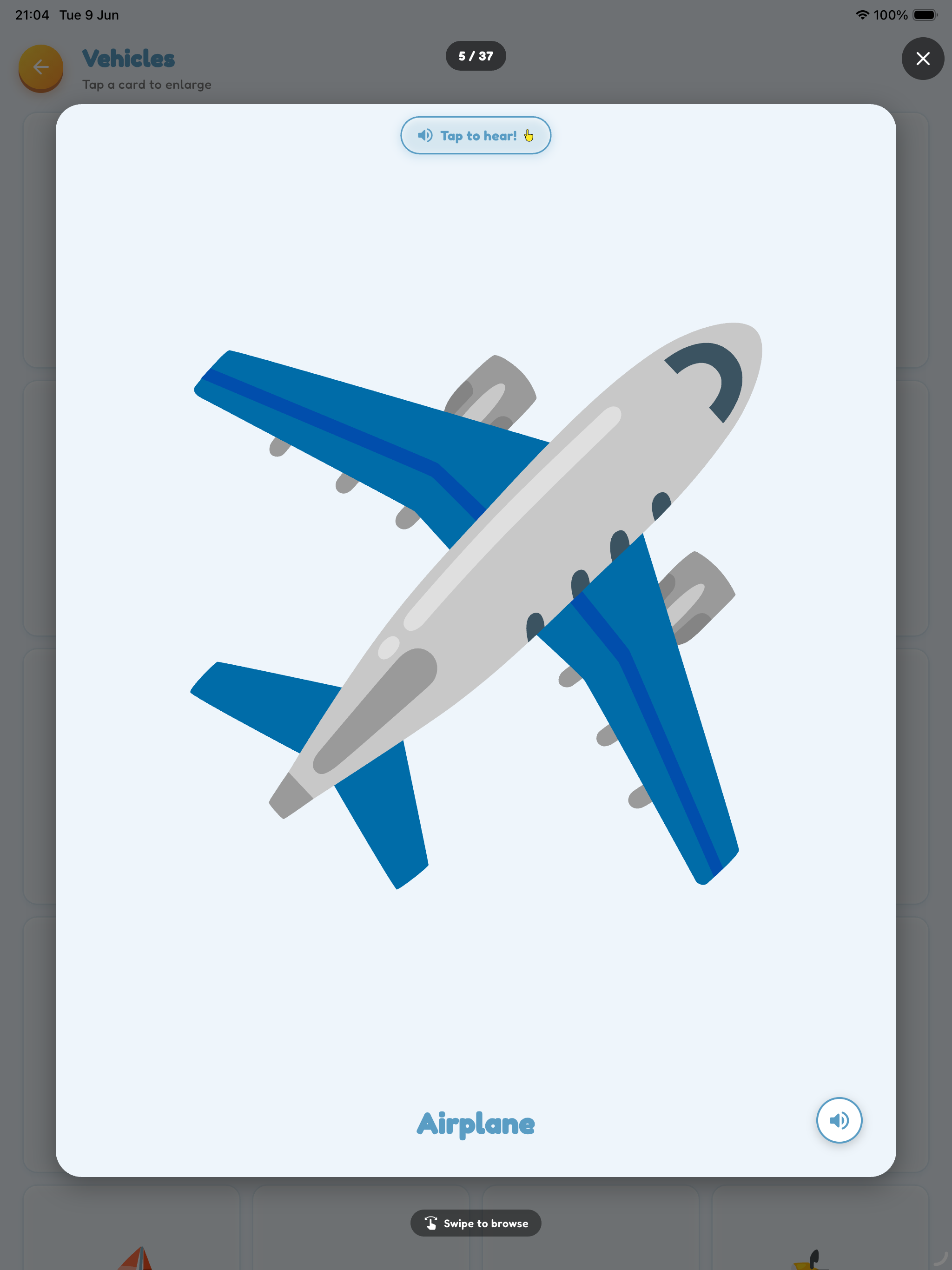 Card detail view — iPad